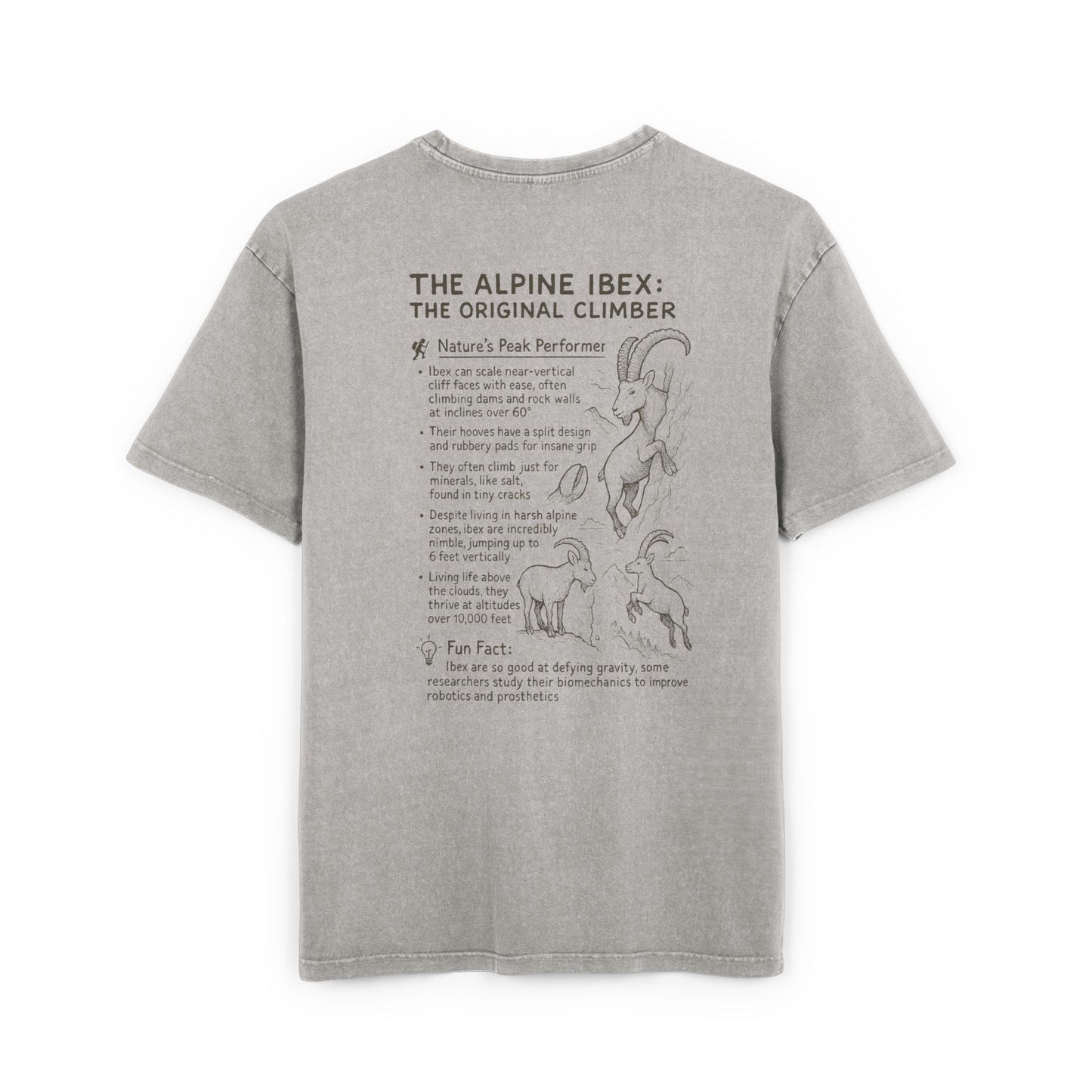 Slope Goat Graphic - Oversized Acid Washed Tee