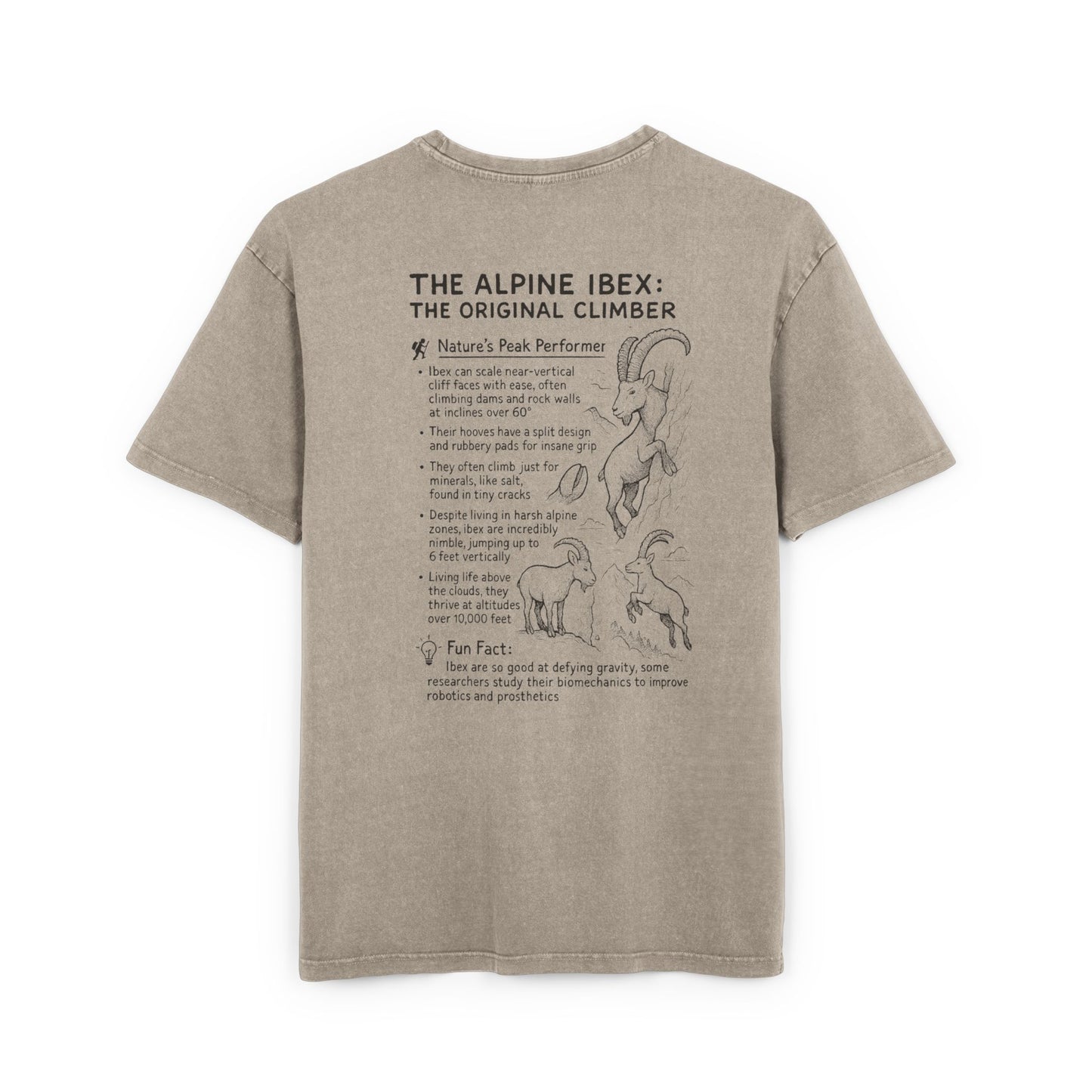 Slope Goat Graphic - Oversized Acid Washed Tee
