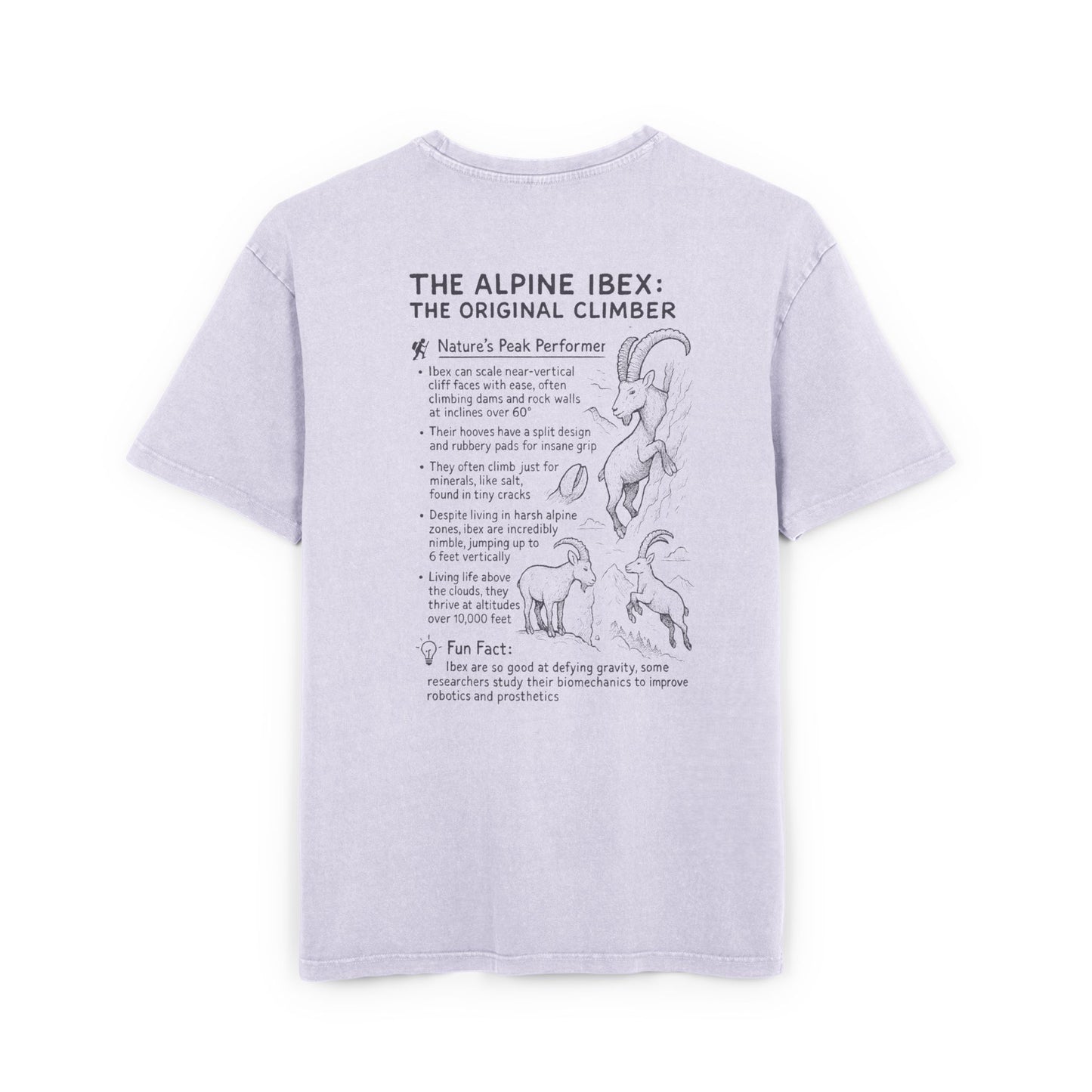 Slope Goat Graphic - Oversized Acid Washed Tee