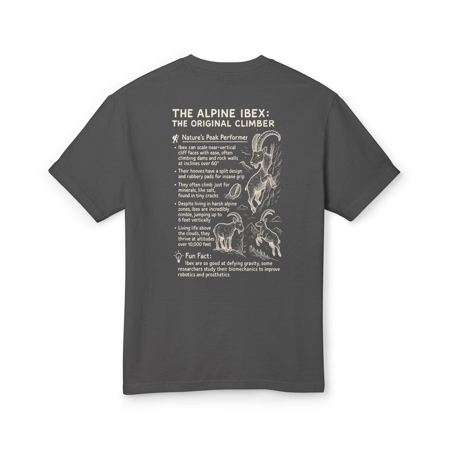 'Slope Goat Graphic' - Tee