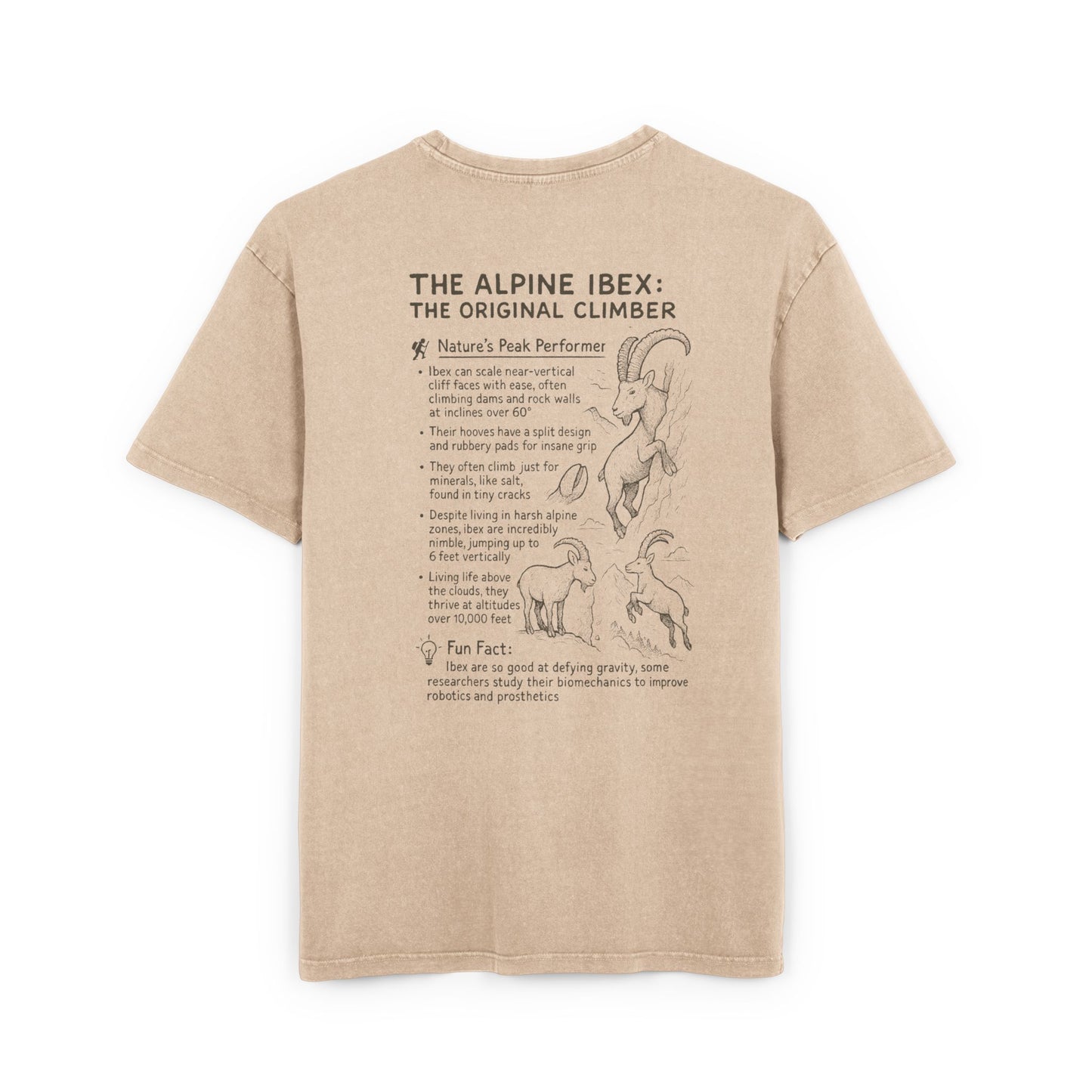 Slope Goat Graphic - Oversized Acid Washed Tee