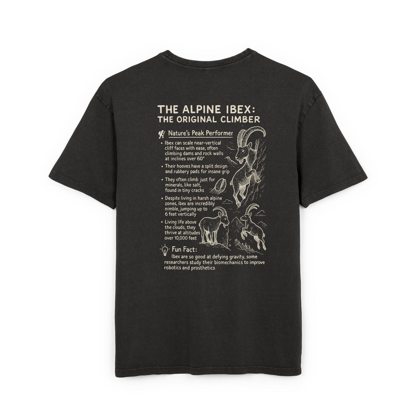 Slope Goat Graphic - Oversized Acid Washed Tee