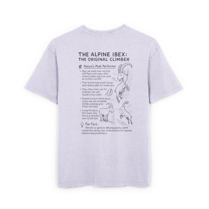Slope Goat Graphic - Oversized Acid Washed Tee